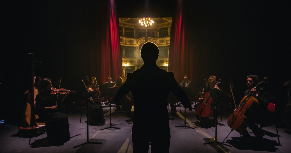 Camerata de Cordas Friccionadas