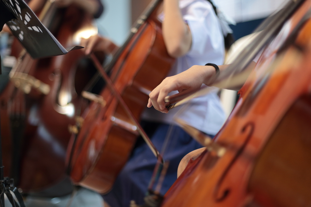 Camerata de Violoncelo