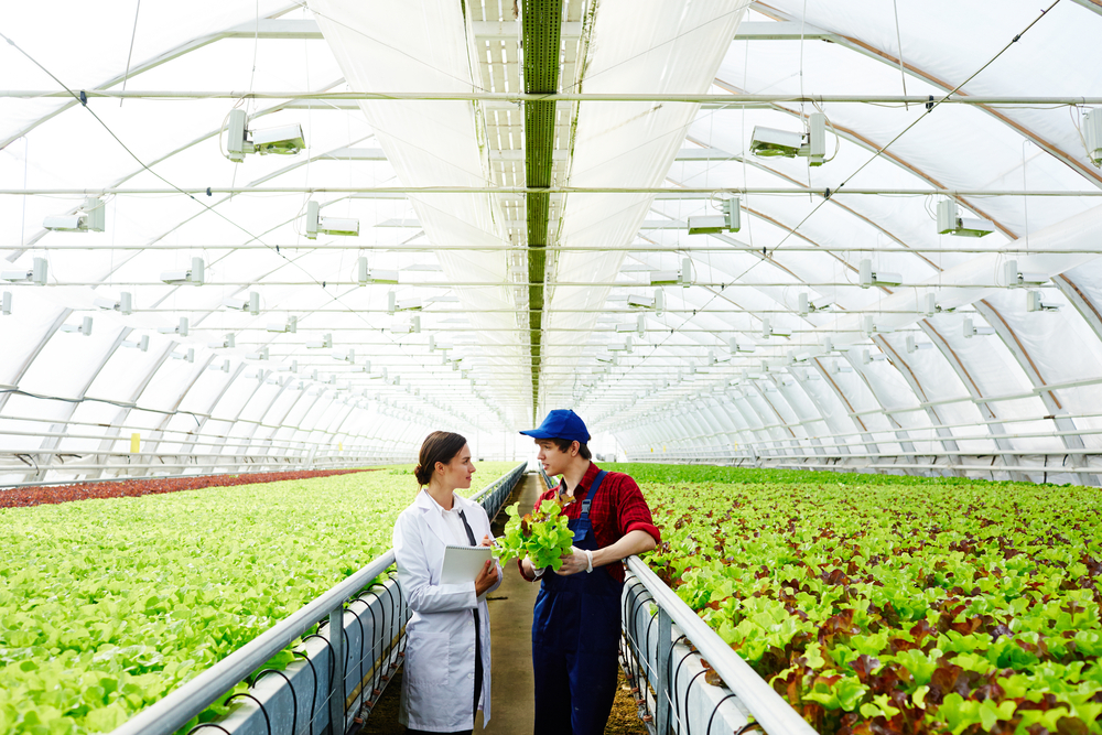 Consultoria em Agronegócio